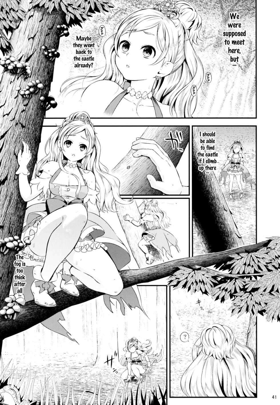 (C88) [Yamada Ichizoku. (Fukurokouji, Mokyu)] Seidorei Senki (Go! Princess PreCure) [English] {doujins.com} - Page 39