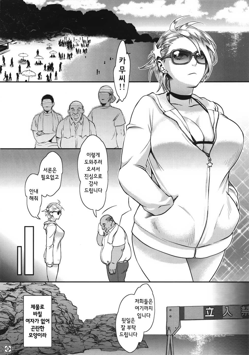 (C88) [Pish Lover (Amatake Akewo)] Summer Porn [Korean] [시뮬라시옹] - Page 12