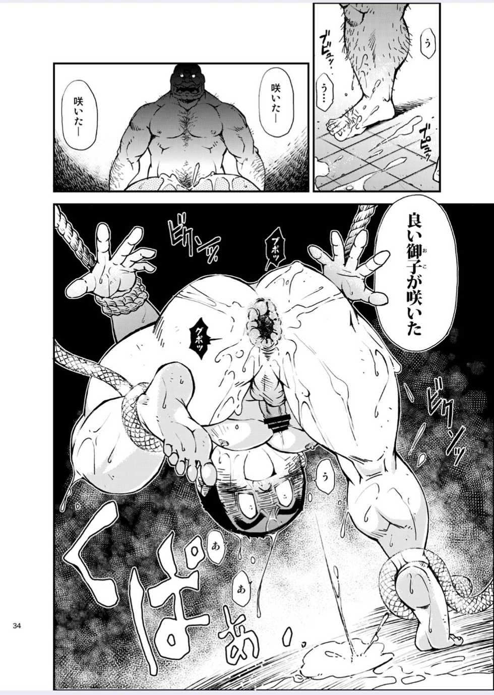 [KOWMEIISM (Kasai Kowmei)] Tadashii Danshi no Kyouren Hou (Yon) Deku to Kairai to [Digital] - Page 34