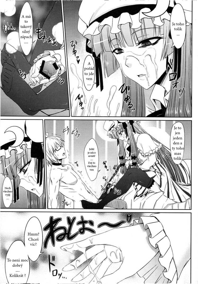 (Reitaisai 8) [Minarai Honpo (Minamoto Jin)] Patchouli to Ashi Bakari no Doujin (Touhou Project) [Czech] - Page 17