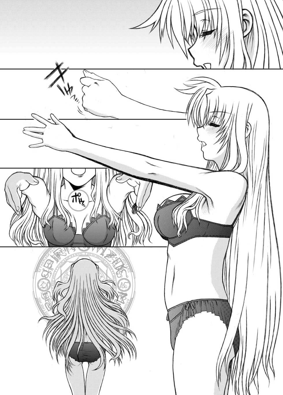 [Fresnel Lens (Hirano Kana)] 19→o3 VerF (Mahou Shoujo Lyrical Nanoha) [Digital] - Page 9