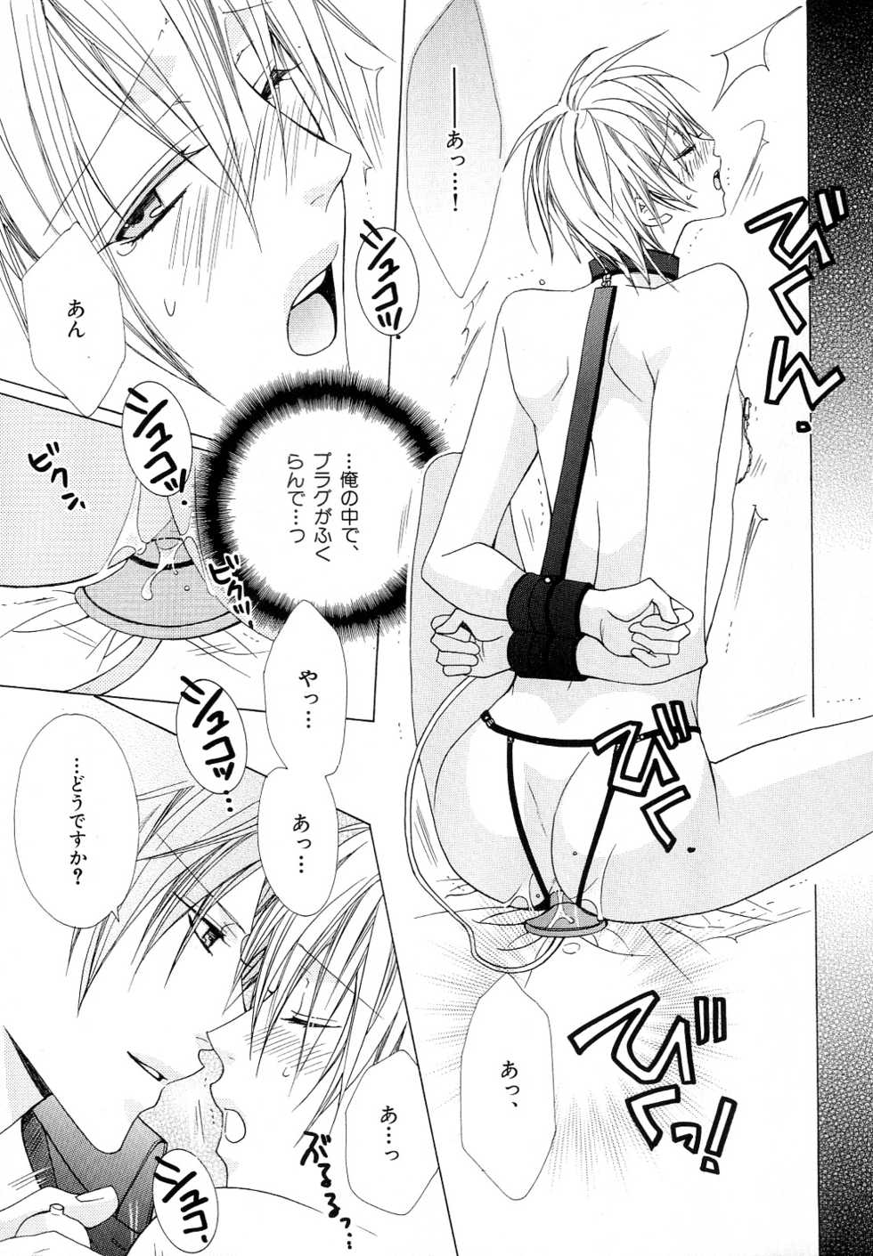 [Anthology] b-BOY Phoenix Vol.10 Odougu Tokushuu - Page 26