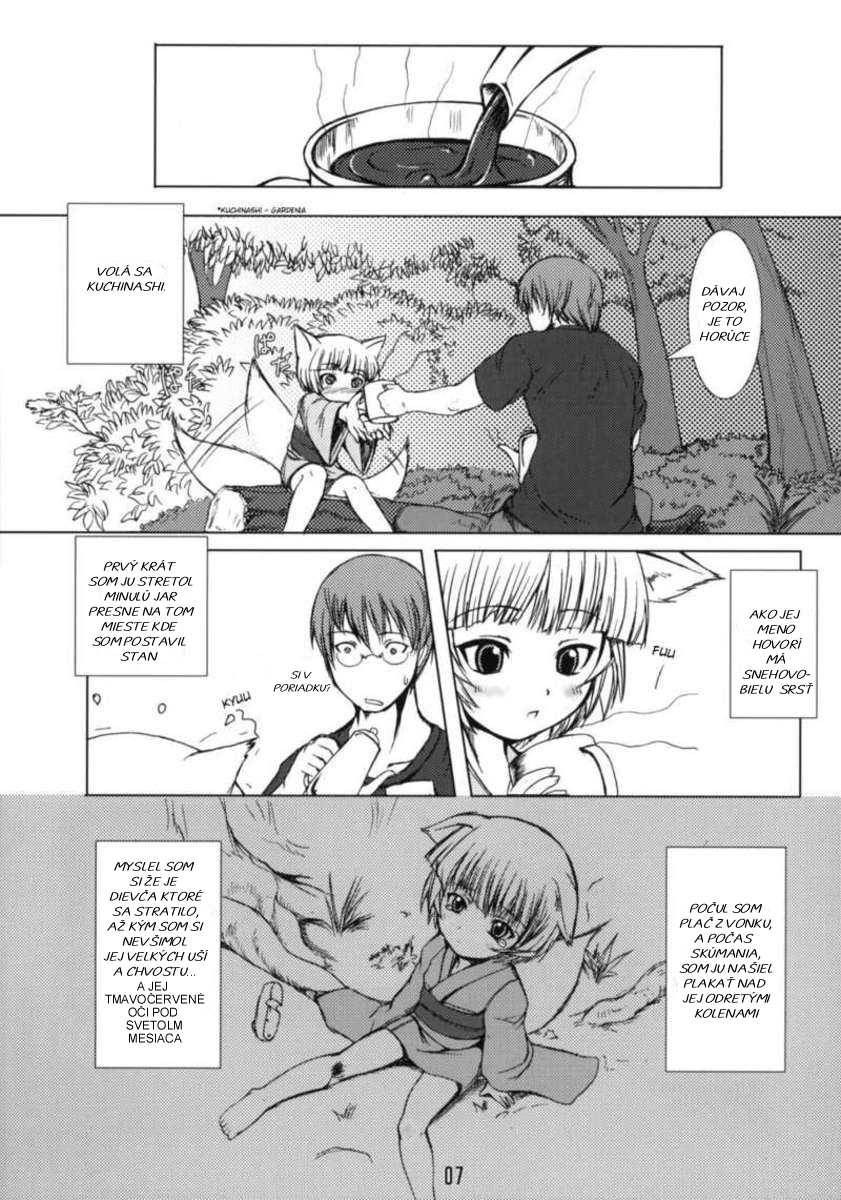 (C67) [Tanmatsu Ijou (BadHanD)] Byakko no Mori [Czech] - Page 6