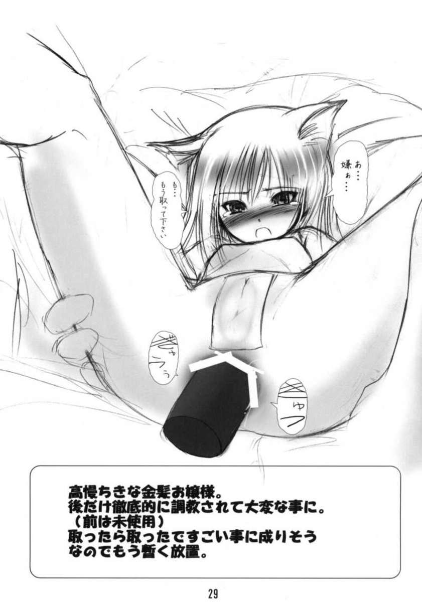 (C67) [Tanmatsu Ijou (BadHanD)] Byakko no Mori [Czech] - Page 28