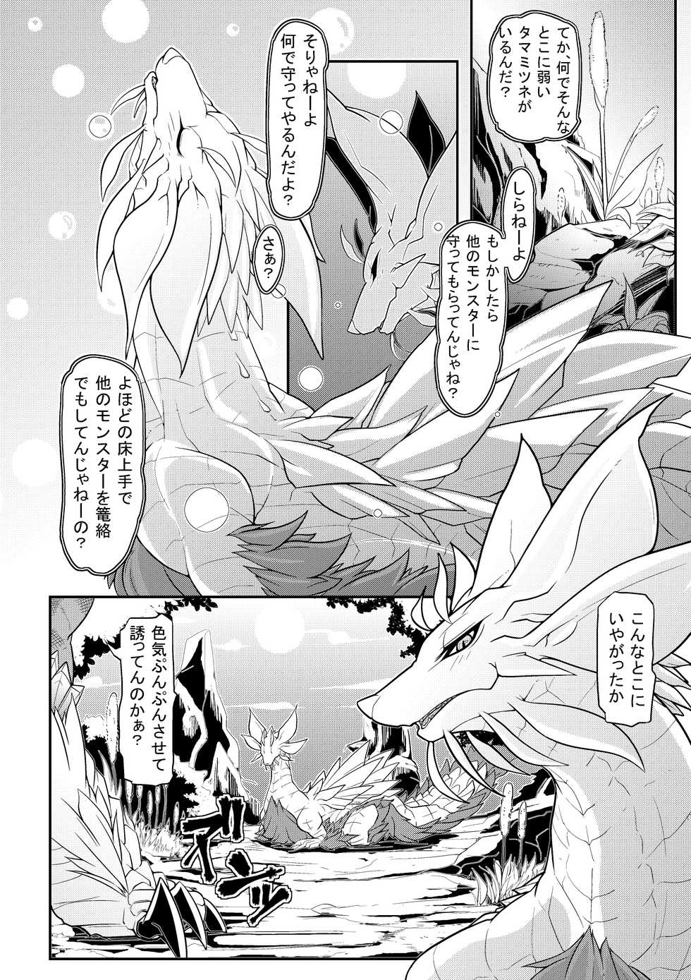 [Mercurochrome (Risuou)] Tsukikage no Raihou (Monster Hunter) [Digital] - Page 5