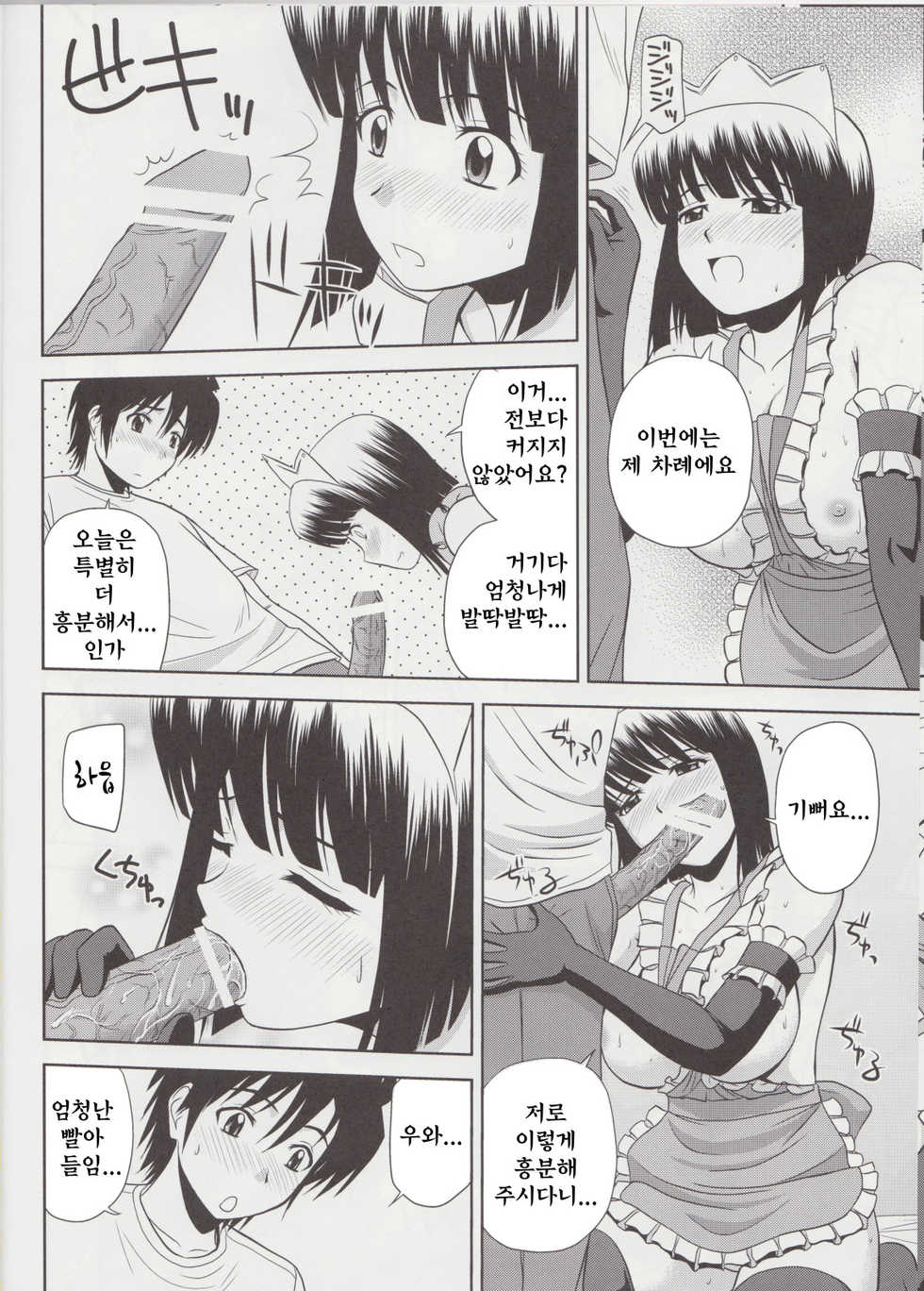 (C79) [G-SCAN CORP. (Satou Chagashi)] Le beau maitre 8 (Zero no Tsukaima) [Korean] - Page 13