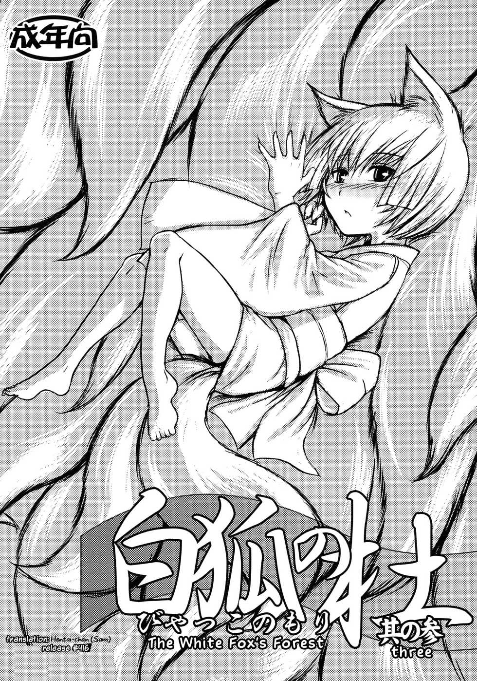 (SC41) [Tanmatsu Ijou (BadHanD)] Byakko no Mori Sono San [Czech] - Page 1