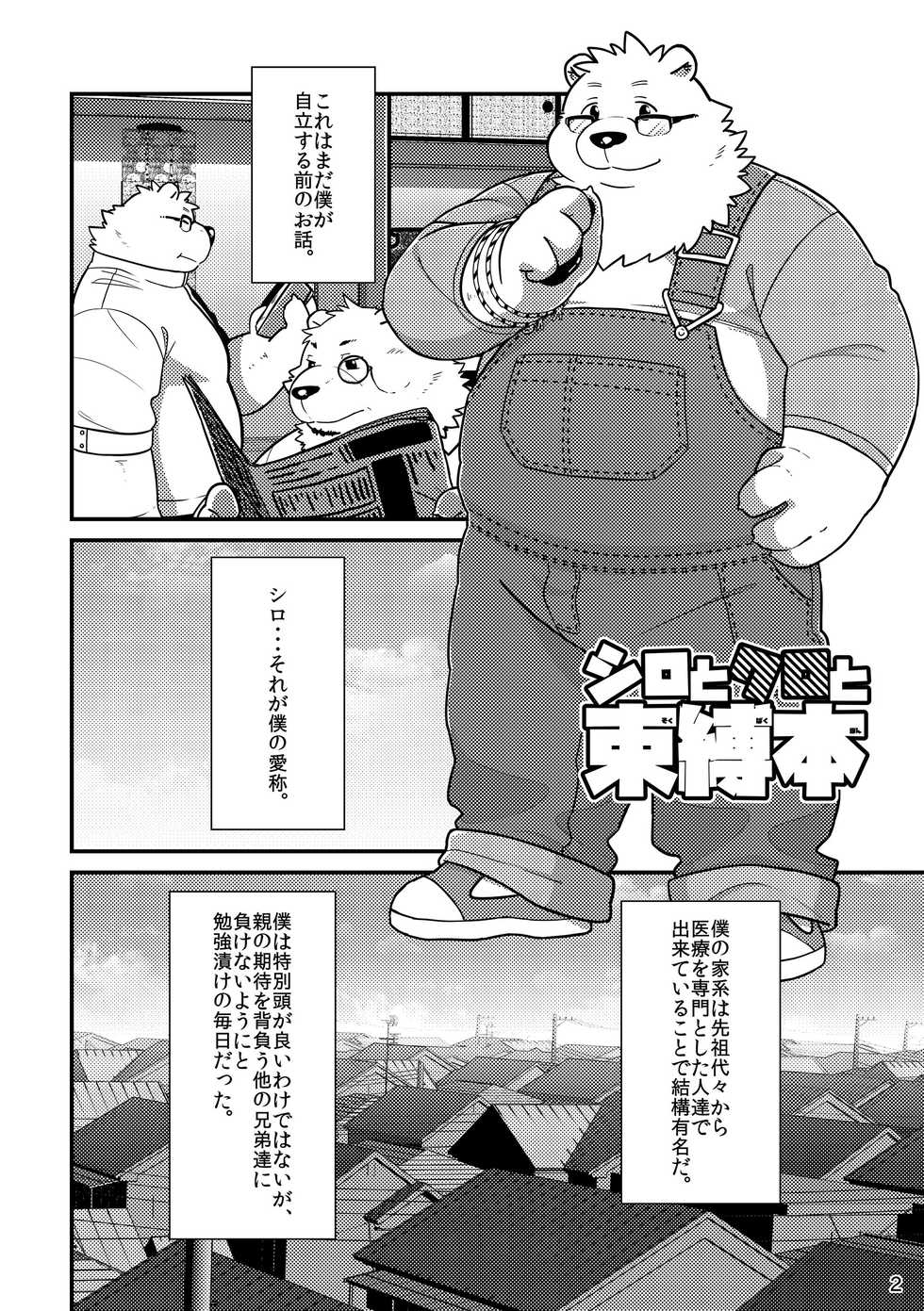 [Ryuusei Potechi (Various)] Shiro to Kuro to Sokubakubon [Digital] - Page 4