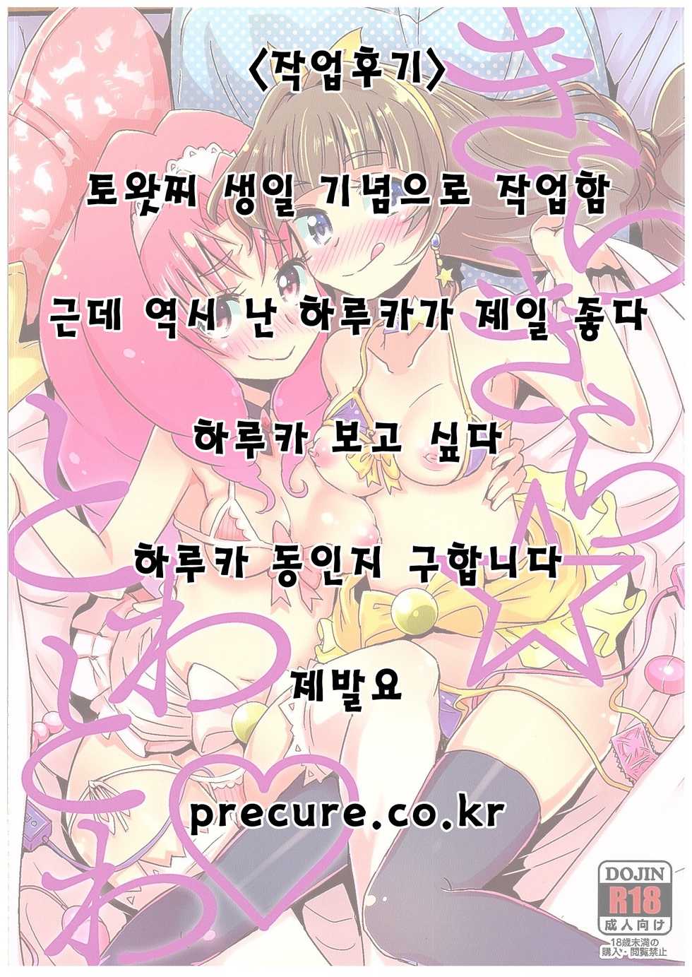 (C89) [Debodebodan (De)] Kirakira Towatowa (Go! Princess PreCure) [Korean] - Page 24