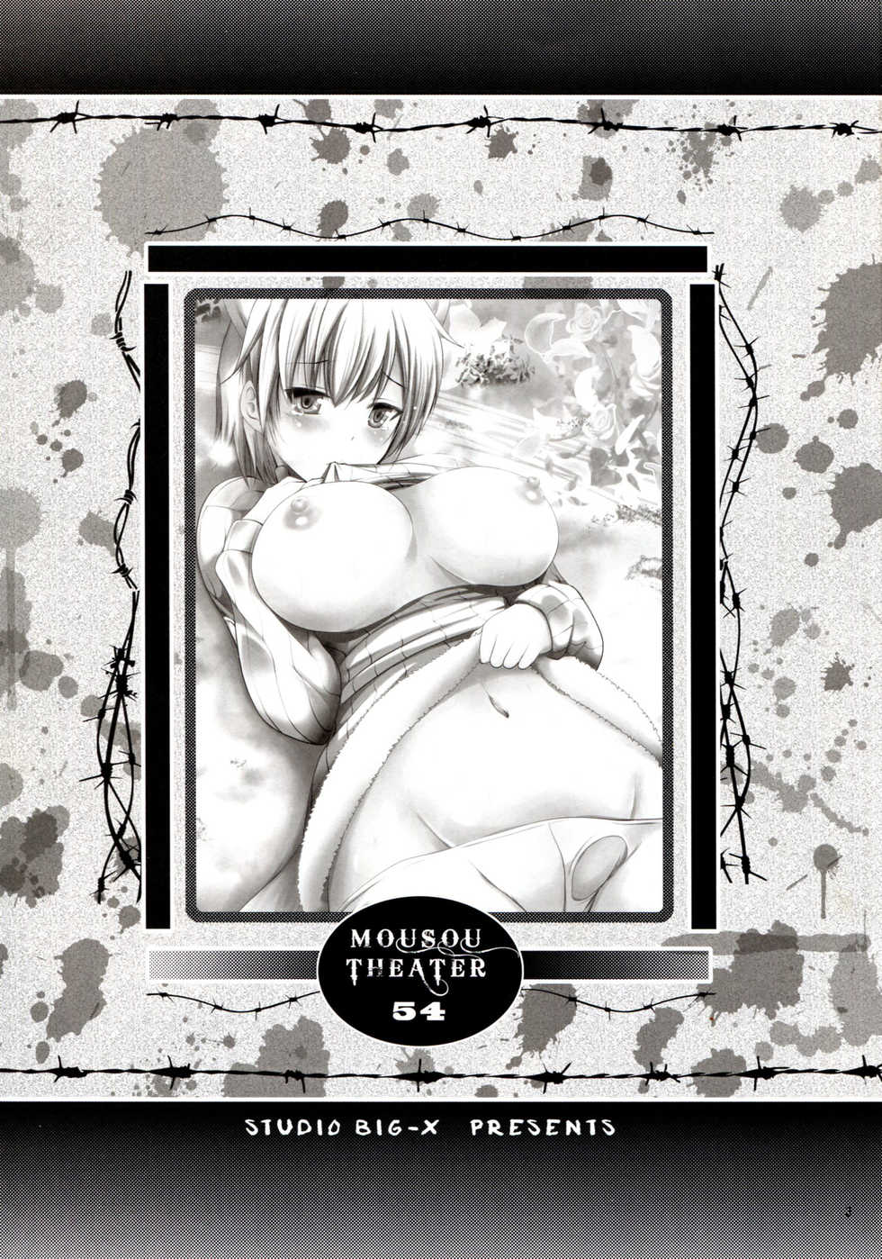 (SC2016 Autumn)  [Studio BIG-X (Arino Hiroshi)] MOUSOU THEATER 54 (Brave Witches) [Chinese] [塔布里斯個人漢化] - Page 3