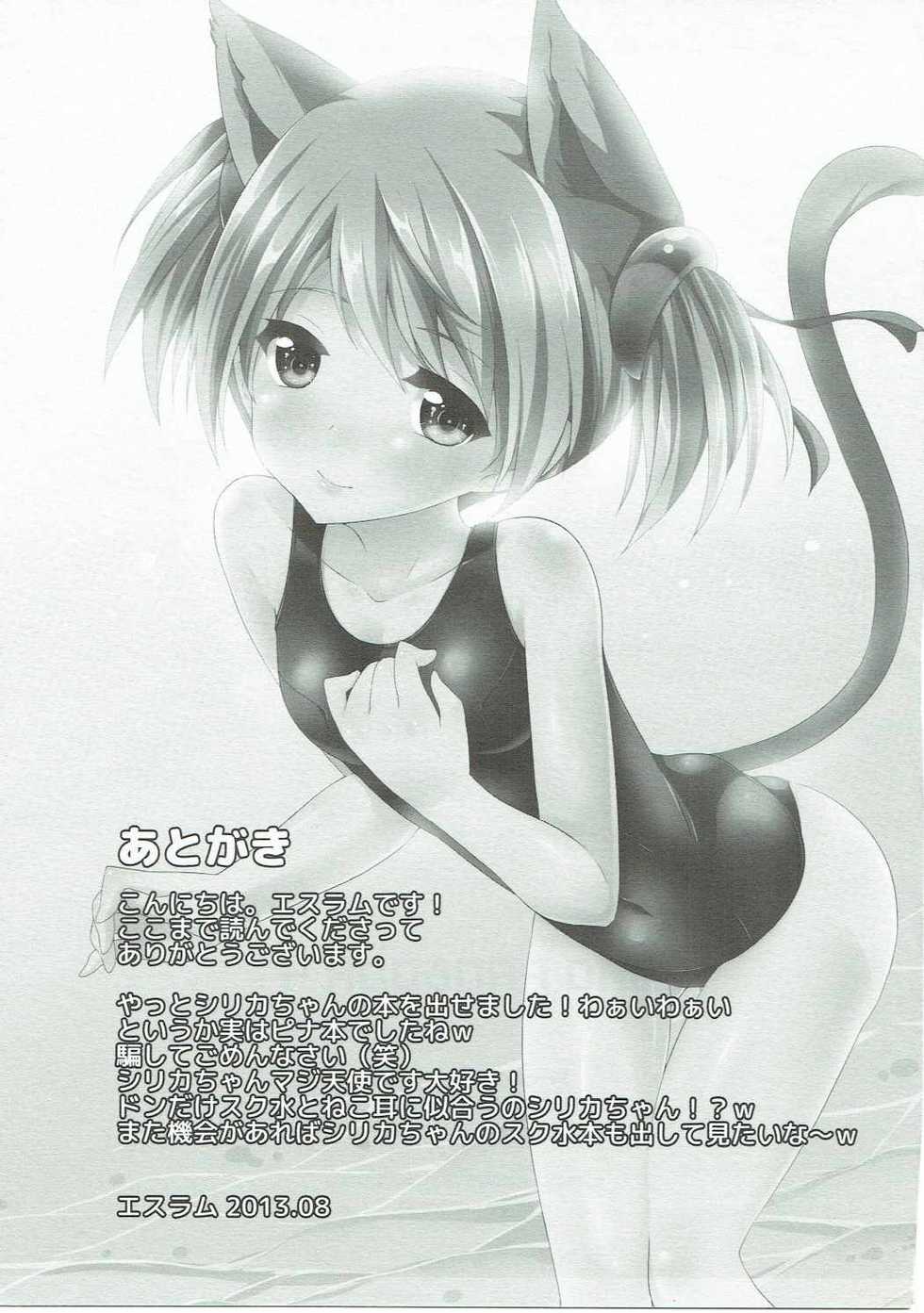 (C84) [S-Ram (S-Ram)] Silica-chan ga Hen ni Nacchau (Sword Art Online) - Page 20