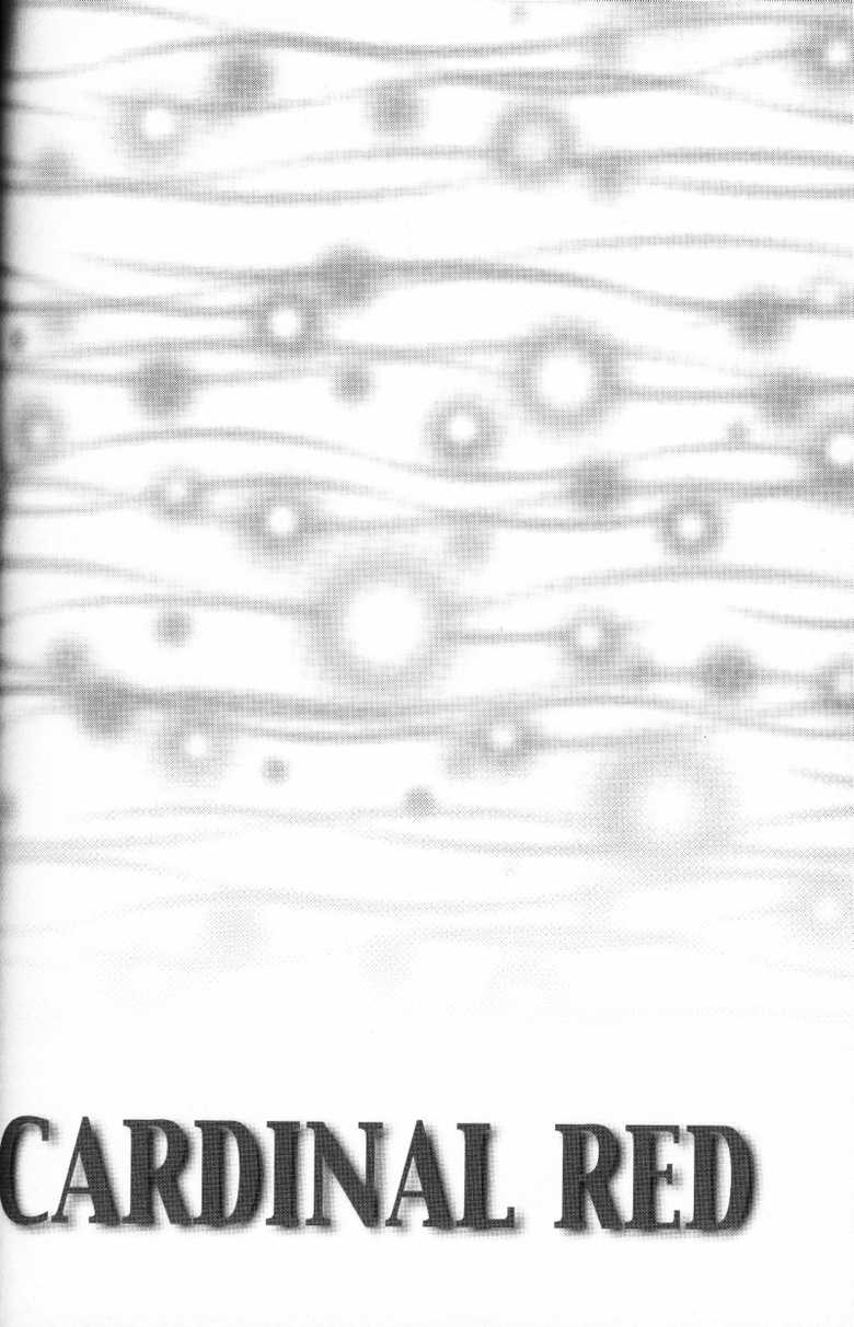 (C59) [K. Haruka Company, Chew (K. Haruka, Sakura Makoto)] Anklet | Restraint (Final Fantasy VII) [English] - Page 29