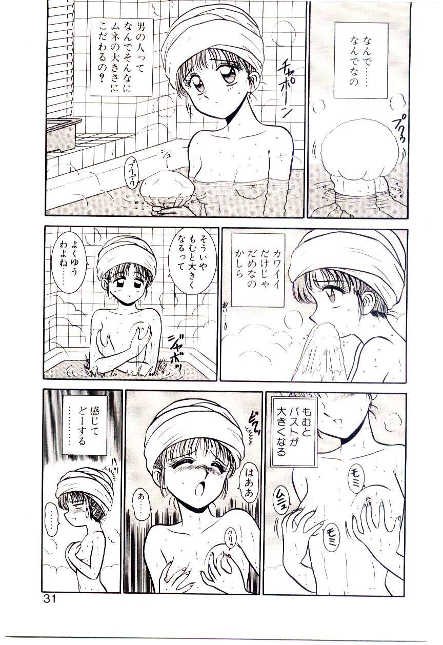 [Shinkuukan] Himitsu da yo ne - Page 30