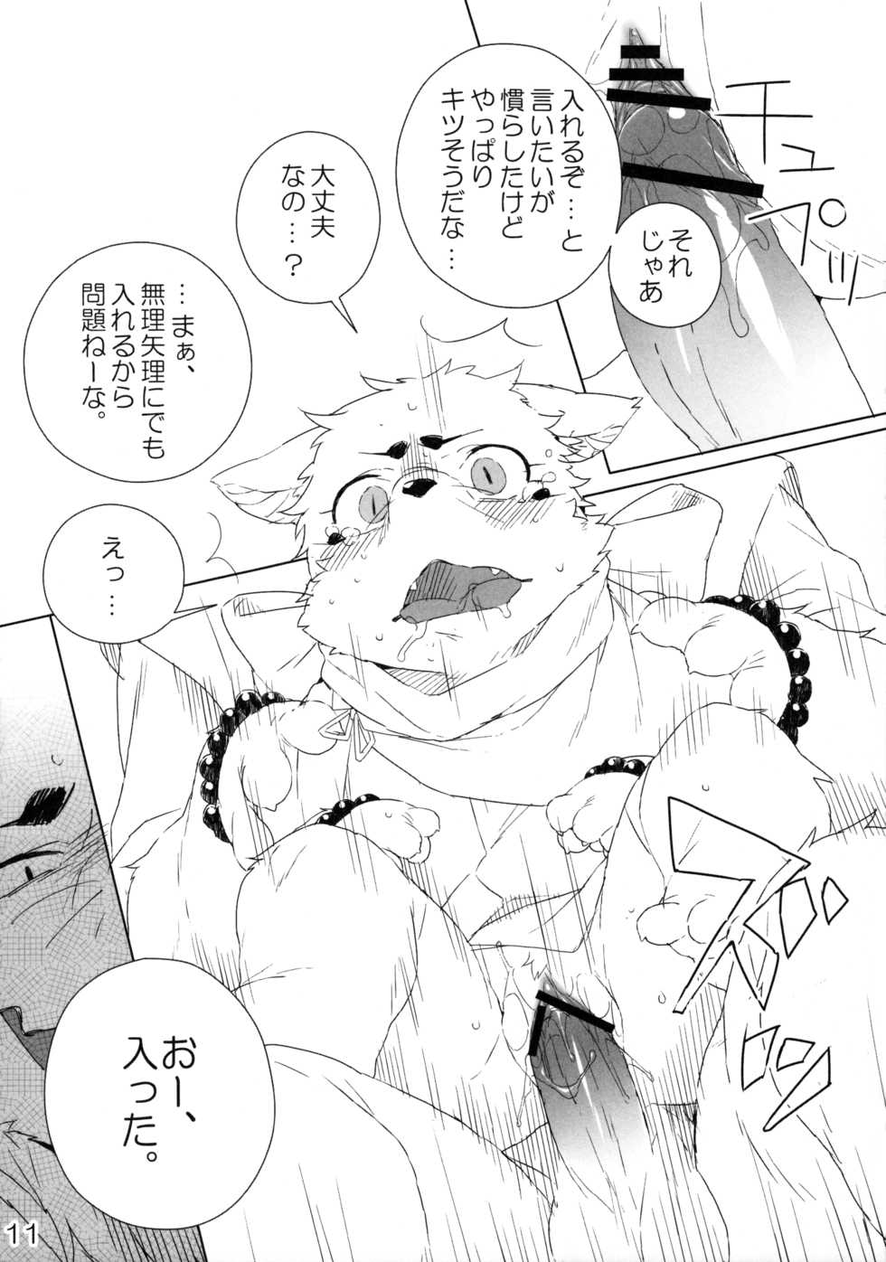 (Fur-st 4) [HAM. (Various)] Harusame (Gingitsune) - Page 12