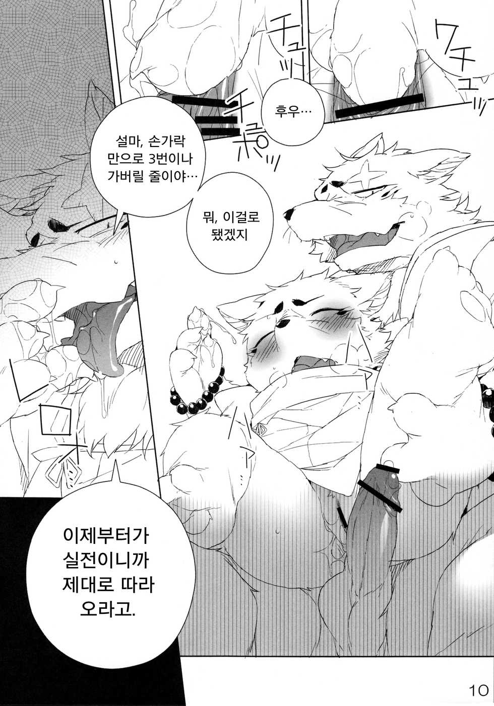 (Fur-st 4) [HAM. (Various)] Harusame (Gingitsune) [Korean] [LWND] - Page 11