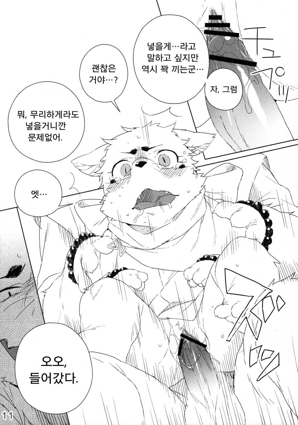 (Fur-st 4) [HAM. (Various)] Harusame (Gingitsune) [Korean] [LWND] - Page 12