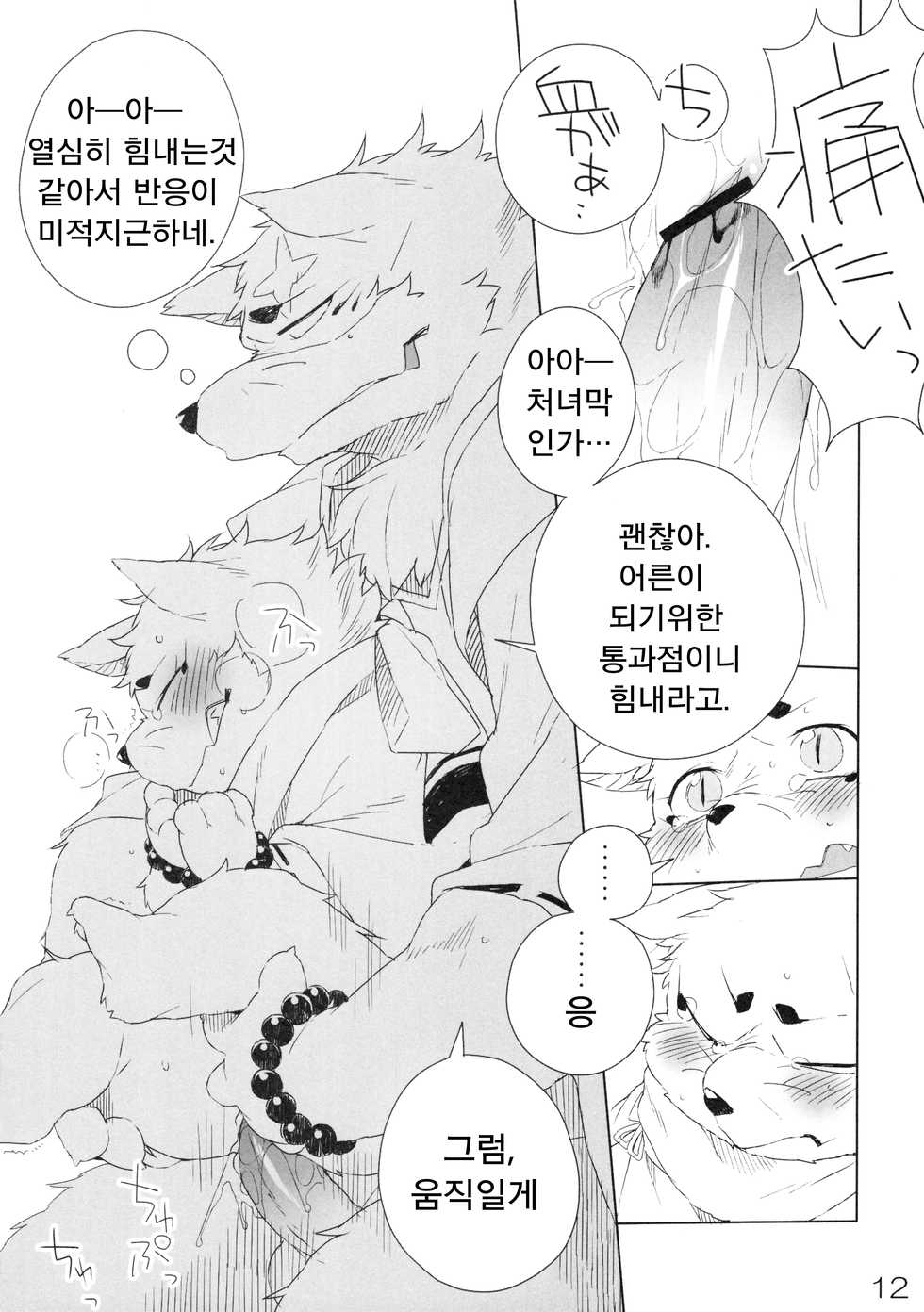 (Fur-st 4) [HAM. (Various)] Harusame (Gingitsune) [Korean] [LWND] - Page 13