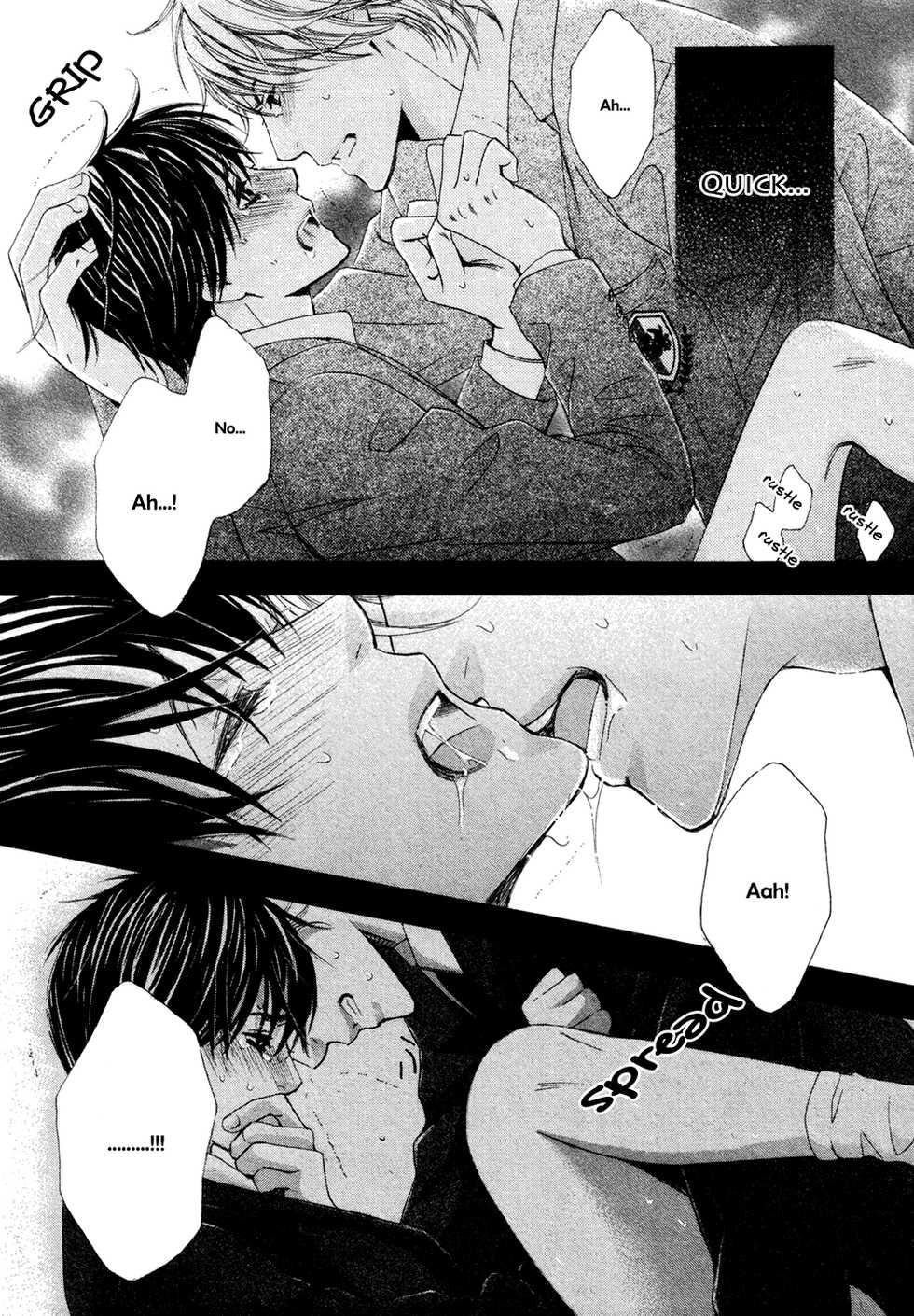 [Kamon Saeko] Ouji-sama ni Narenai | Can't Become the Perfect Prince (Gush 2009-03) [English] [Shinmakoku Scanlations] - Page 25