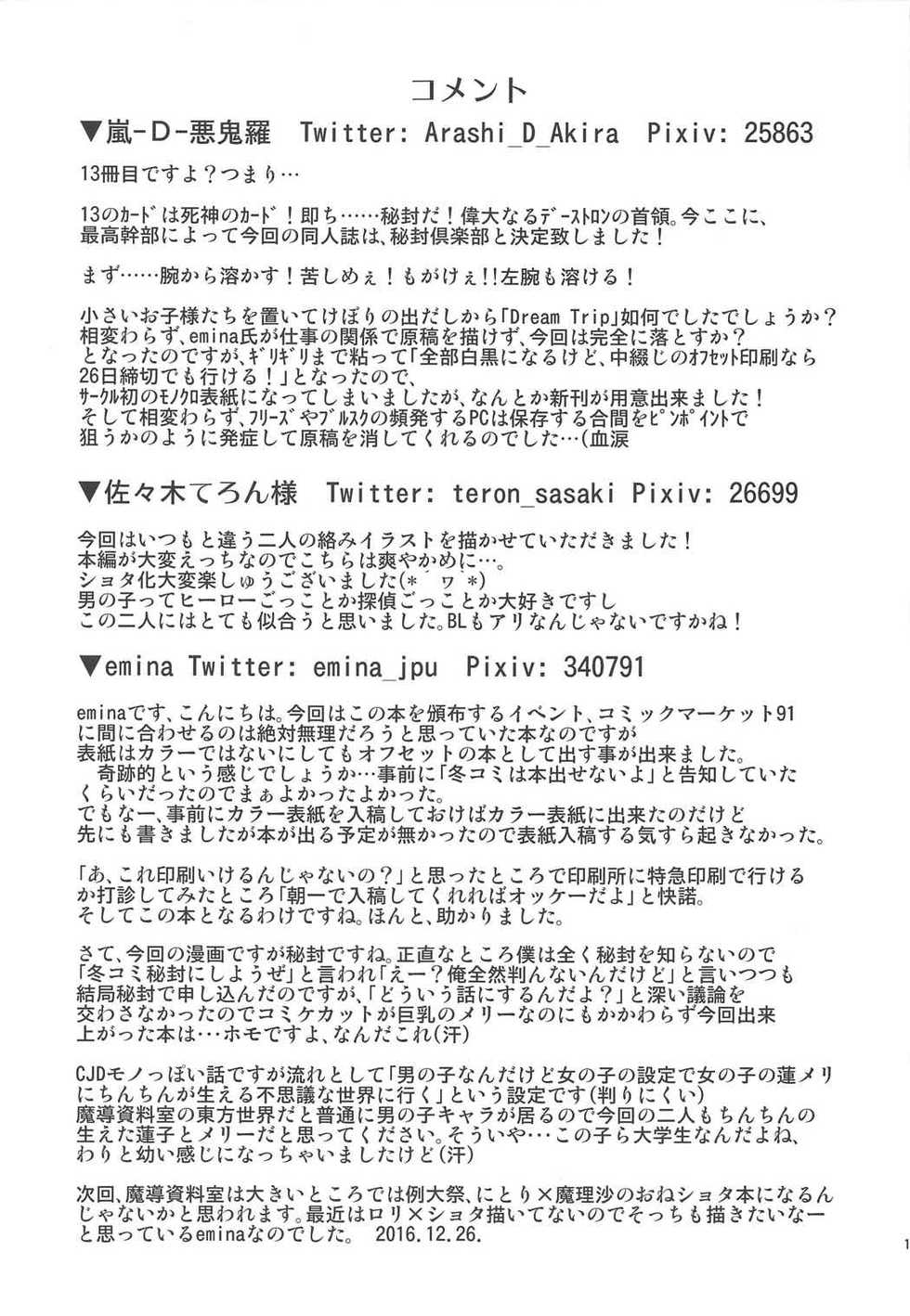 (C91) [Madou Shiryoushitsu (Arashi-D-Akira, Sasaki Teron, emina)] Dream Trip (Touhou Project) - Page 15