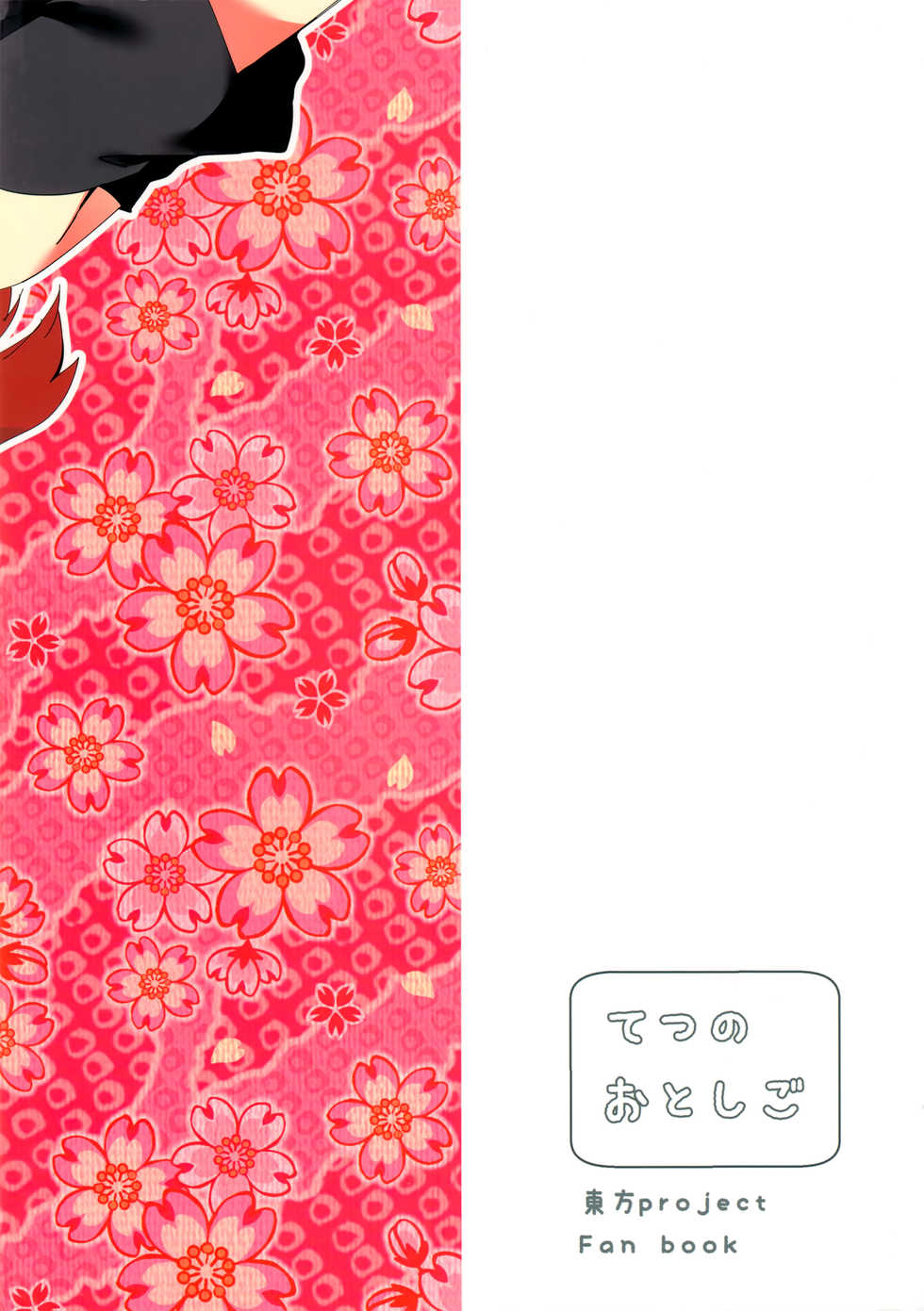 (C90) [Tetsu no Otoshigo (Chirorian)] Akai Hon. (Touhou Project) - Page 32