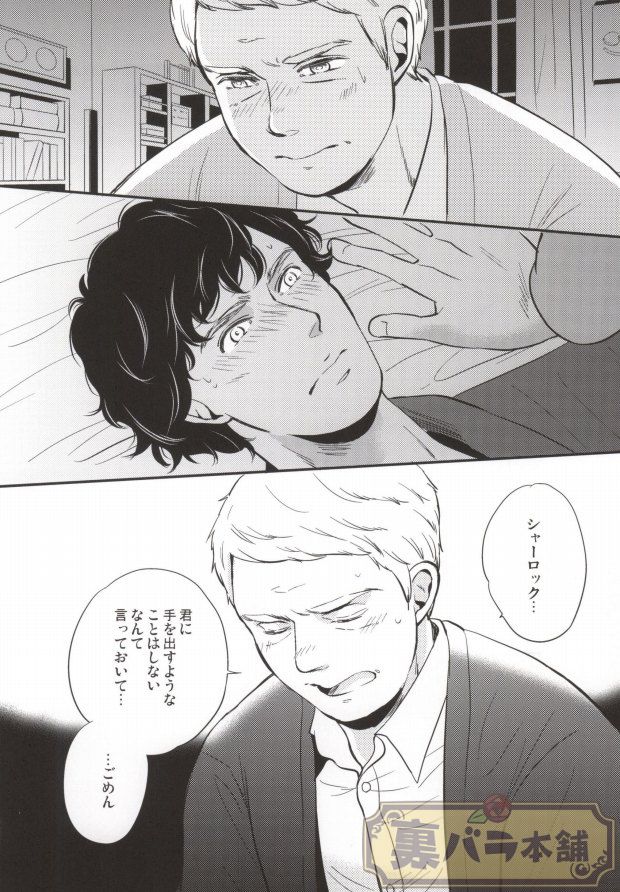 (C86) [Rekulon (Ishi)] nextdoor (Sherlock Holmes) - Page 13