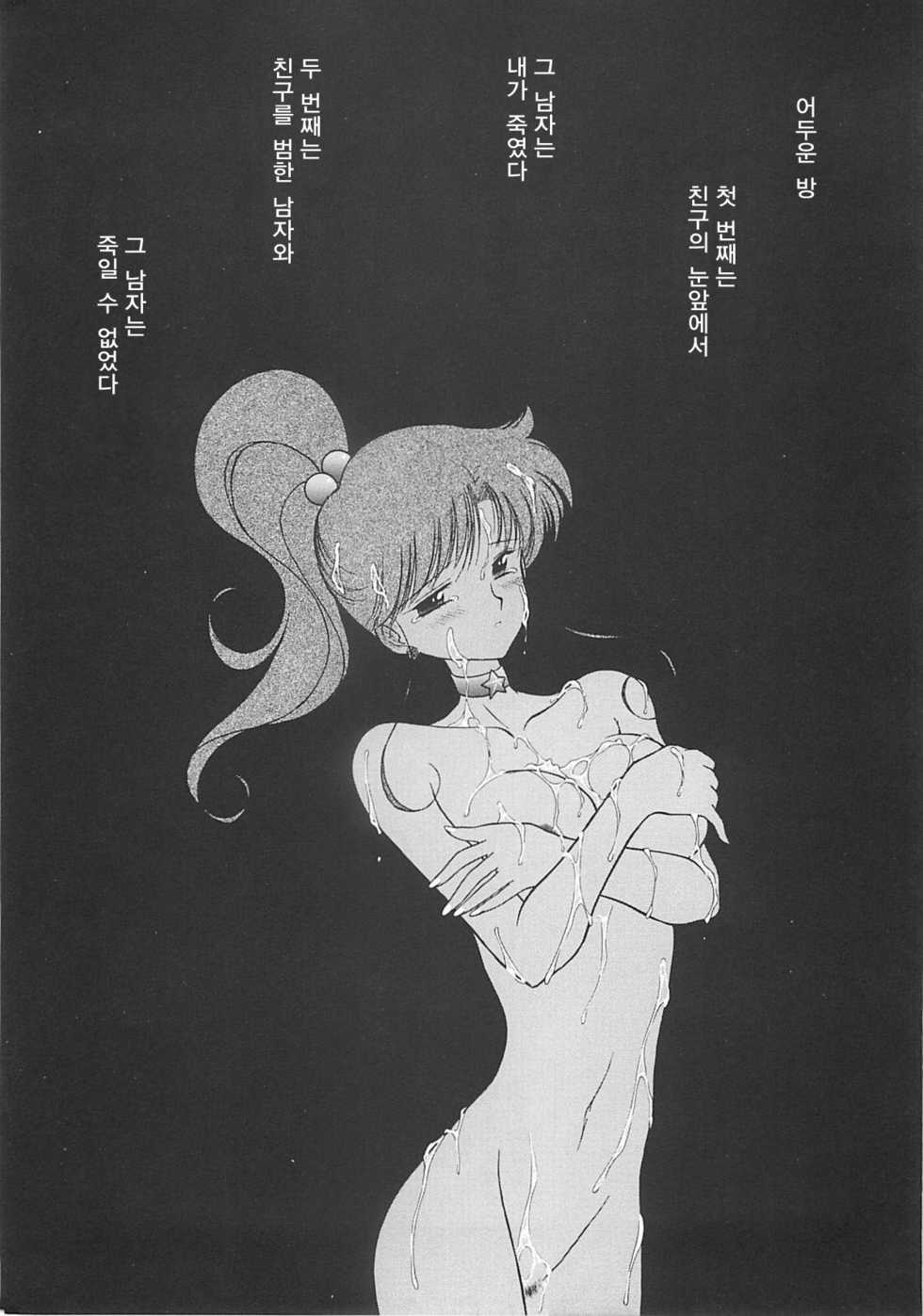 (C55) [BLACK DOG (Kuroinu Juu)] SHEER HEART ATTACK (Bishoujo Senshi Sailor Moon) [Korean] - Page 4