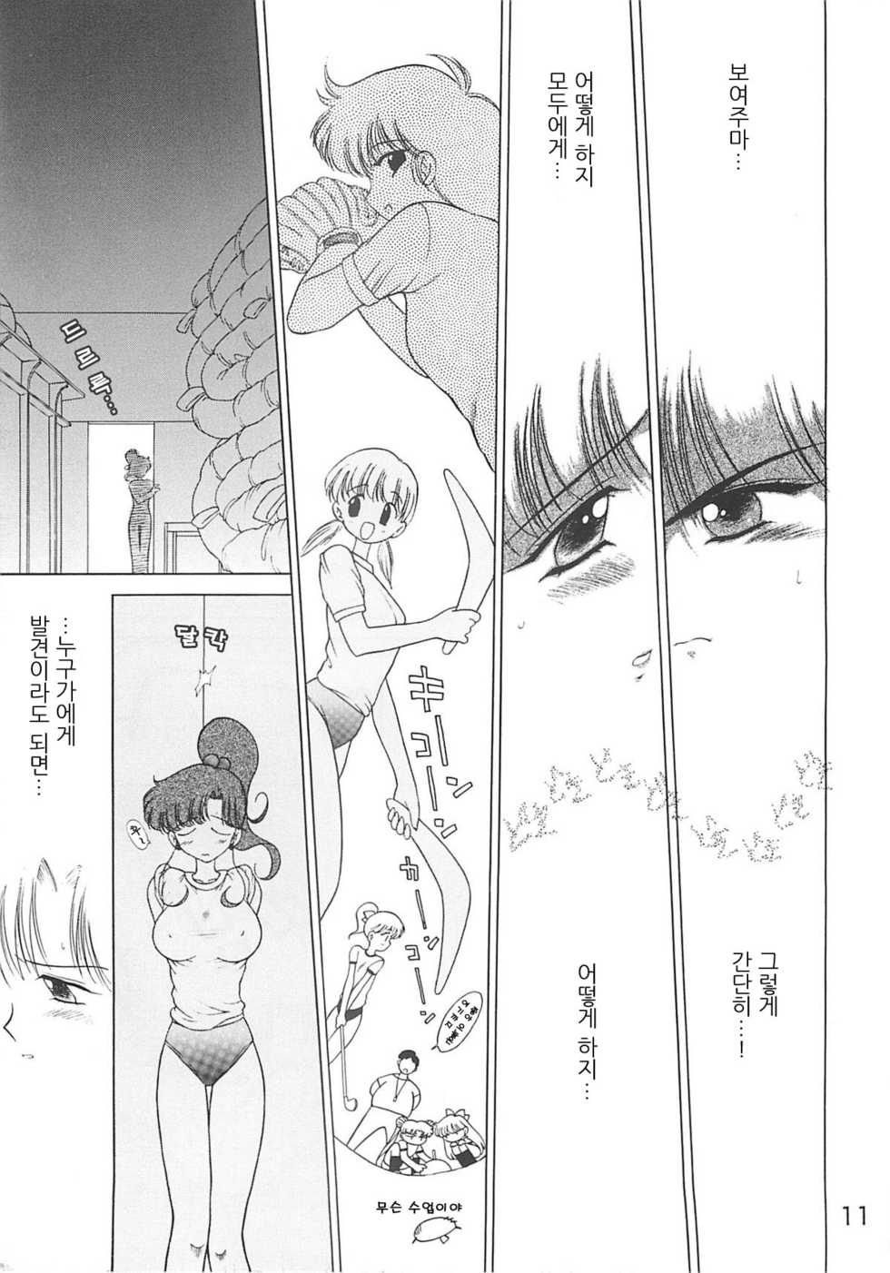 (C55) [BLACK DOG (Kuroinu Juu)] SHEER HEART ATTACK (Bishoujo Senshi Sailor Moon) [Korean] - Page 10