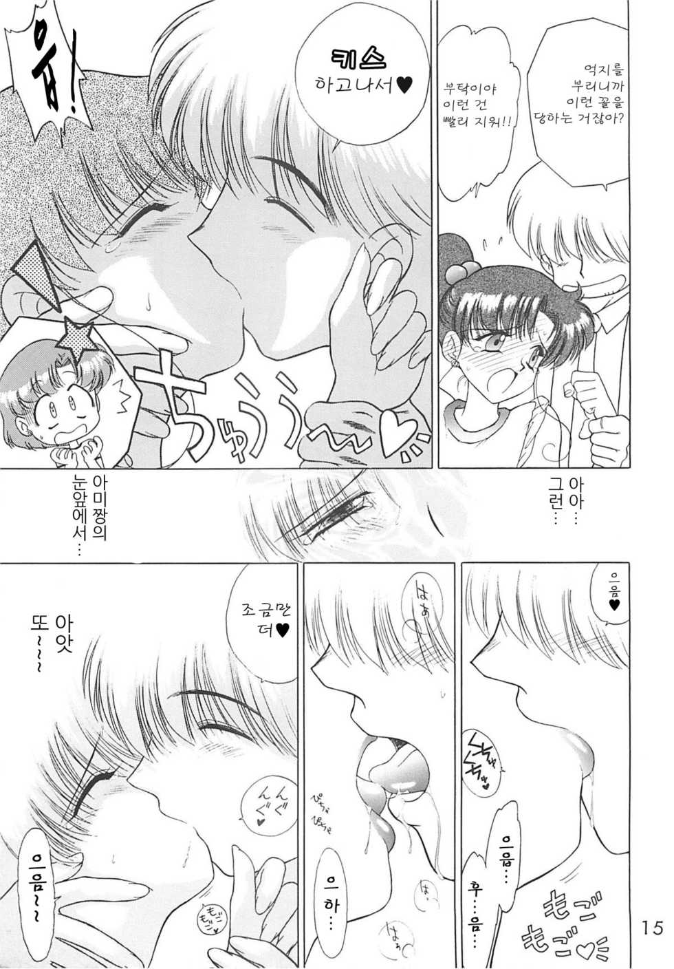 (C55) [BLACK DOG (Kuroinu Juu)] SHEER HEART ATTACK (Bishoujo Senshi Sailor Moon) [Korean] - Page 14
