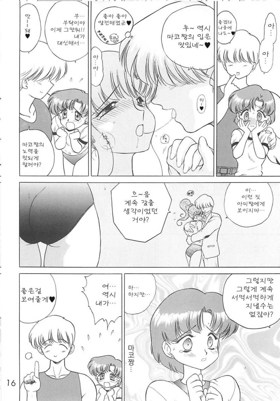 (C55) [BLACK DOG (Kuroinu Juu)] SHEER HEART ATTACK (Bishoujo Senshi Sailor Moon) [Korean] - Page 15