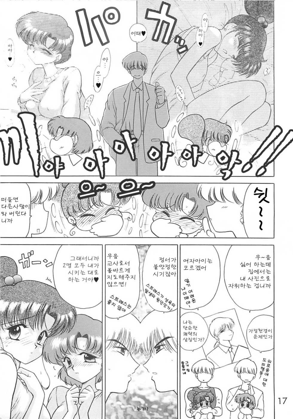 (C55) [BLACK DOG (Kuroinu Juu)] SHEER HEART ATTACK (Bishoujo Senshi Sailor Moon) [Korean] - Page 16