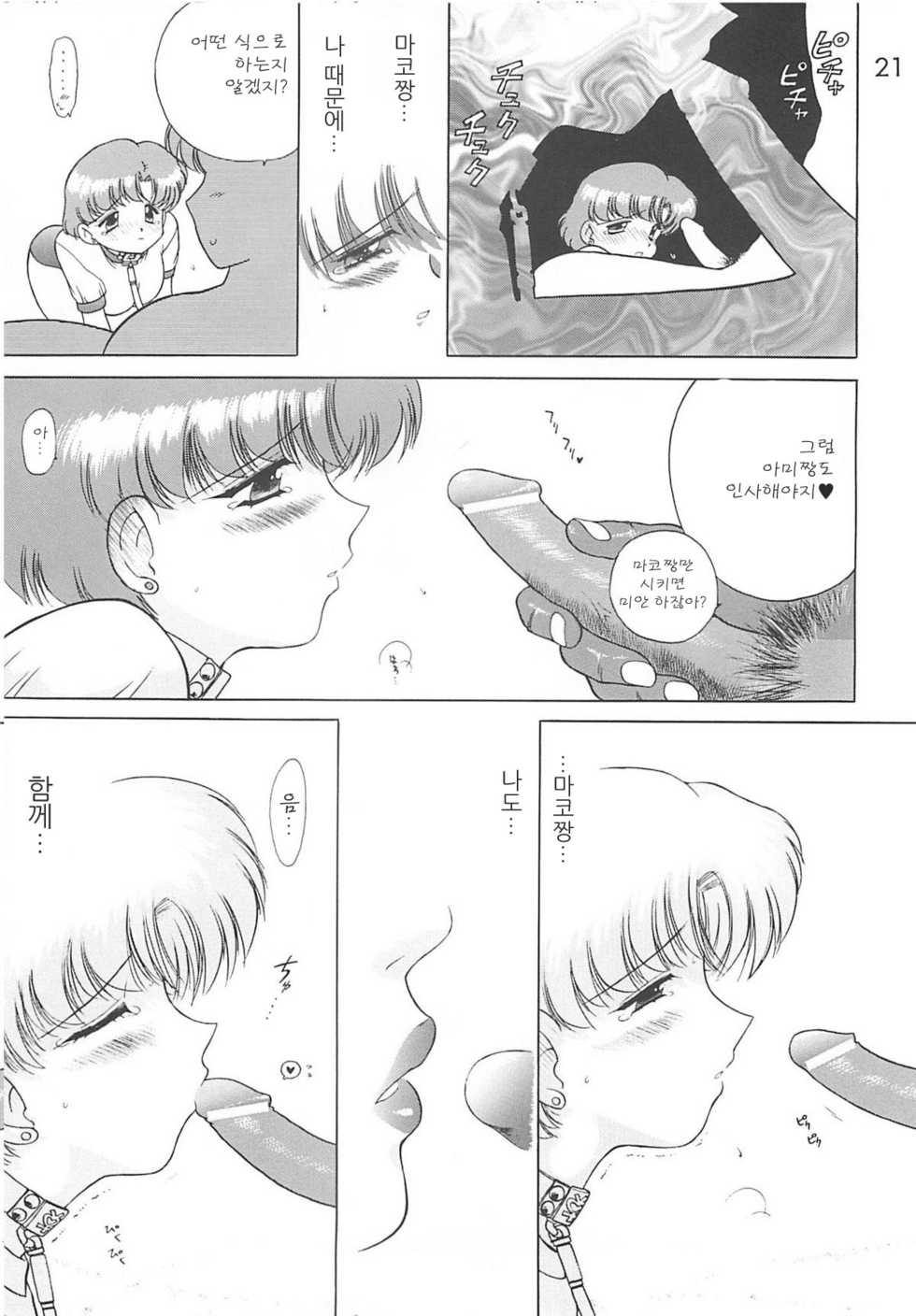 (C55) [BLACK DOG (Kuroinu Juu)] SHEER HEART ATTACK (Bishoujo Senshi Sailor Moon) [Korean] - Page 20