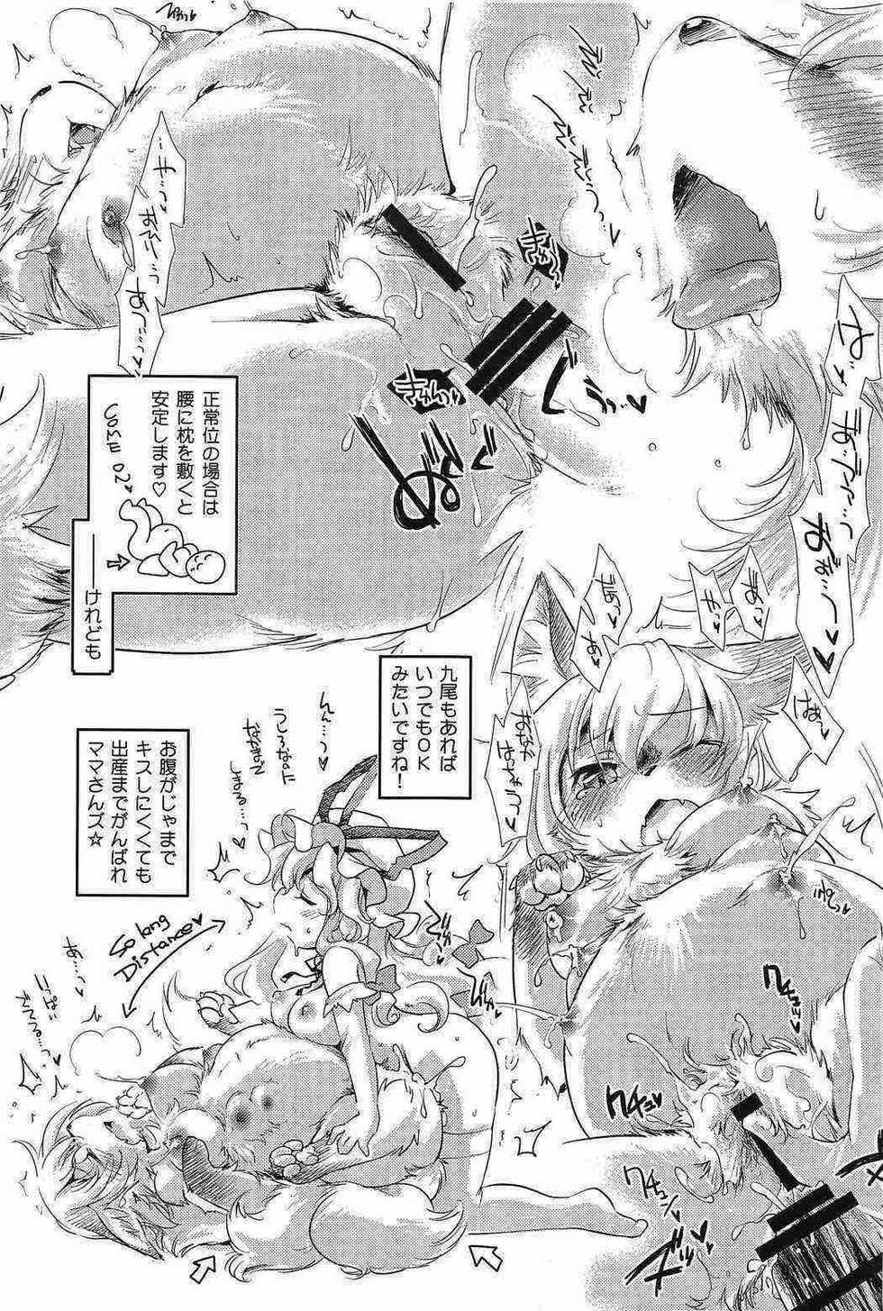 (Daikyuushuu Touhousai 7) [Kitsune no Mori (Various)] Touhou PLUMFUR 2 (Touhou Project) - Page 18