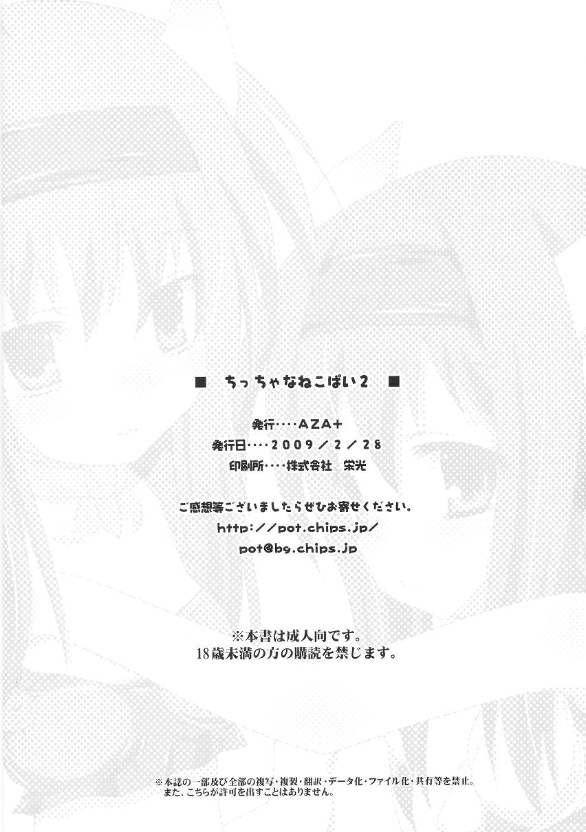 (Merit Point 2!) [AZA+ (Yoshimune)] Chiccha na Neko Pai 2 (Final Fantasy XI) - Page 25