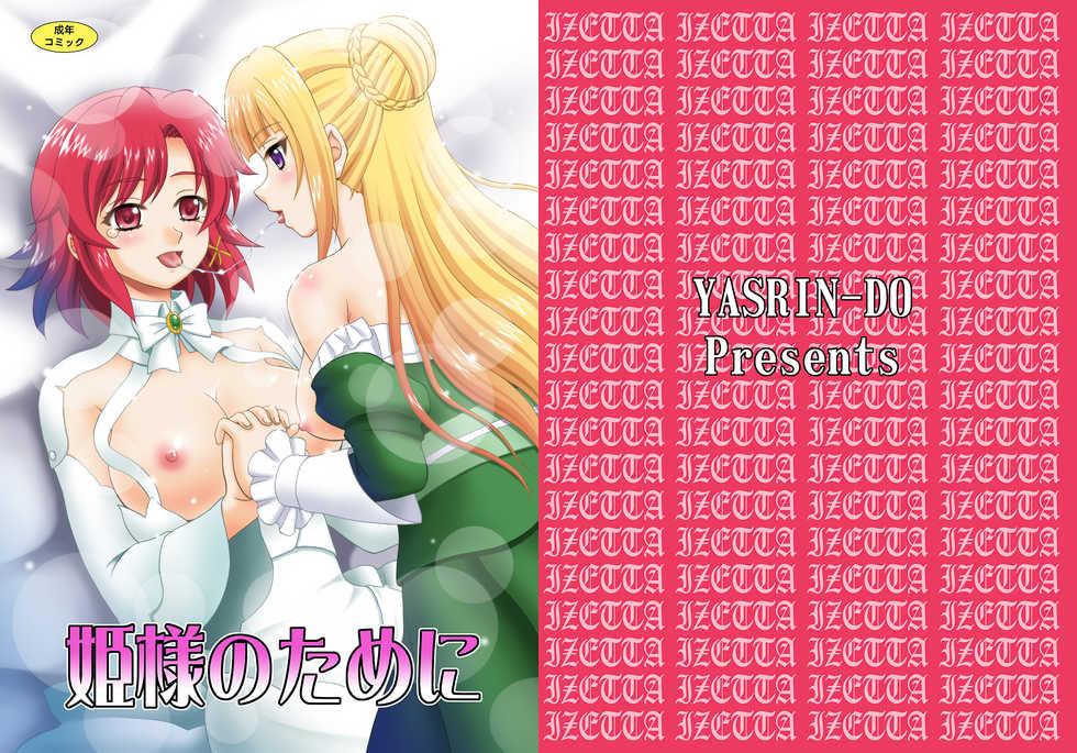 [YASRIN-DO (Yasu Rintarou)] Hime-sama no Tame ni (Shuumatsu no Izetta) [Digital] - Page 1