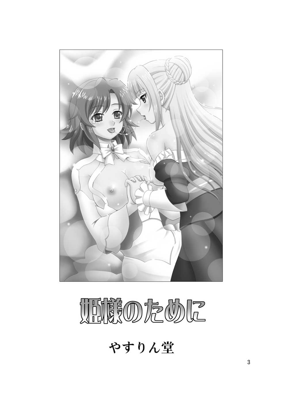 [YASRIN-DO (Yasu Rintarou)] Hime-sama no Tame ni (Shuumatsu no Izetta) [Digital] - Page 2