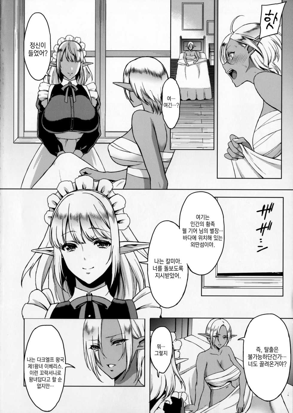 (C91) [H.B.A (Usagi Nagomu)] Reizoku Elf Maid + C91 Kaijou Genteibon [Korean] [오테] - Page 3