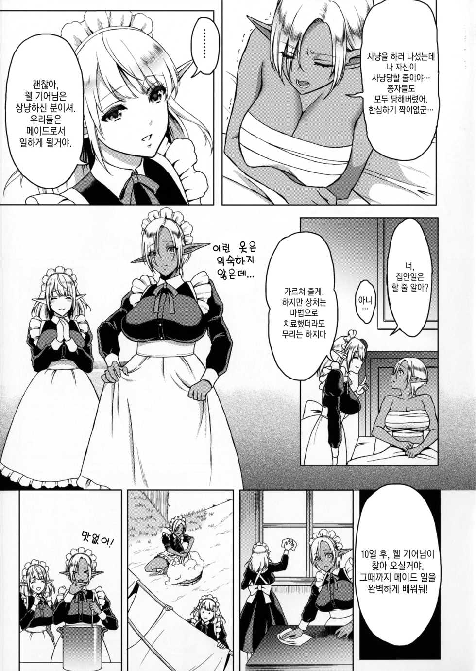 (C91) [H.B.A (Usagi Nagomu)] Reizoku Elf Maid + C91 Kaijou Genteibon [Korean] [오테] - Page 4