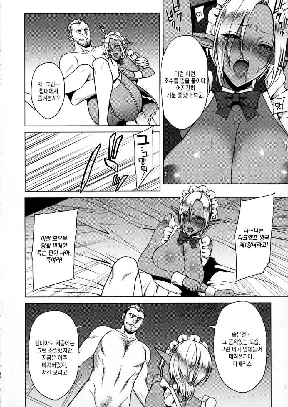 (C91) [H.B.A (Usagi Nagomu)] Reizoku Elf Maid + C91 Kaijou Genteibon [Korean] [오테] - Page 13