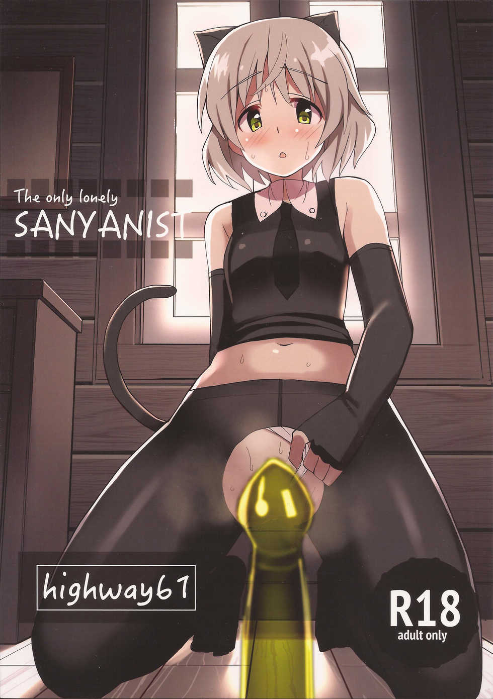 (C88) [Highway61 (Glastonbury1966)] The only lonely SANYANIST (Strike Witches) [English] [Mongolfier] - Page 18