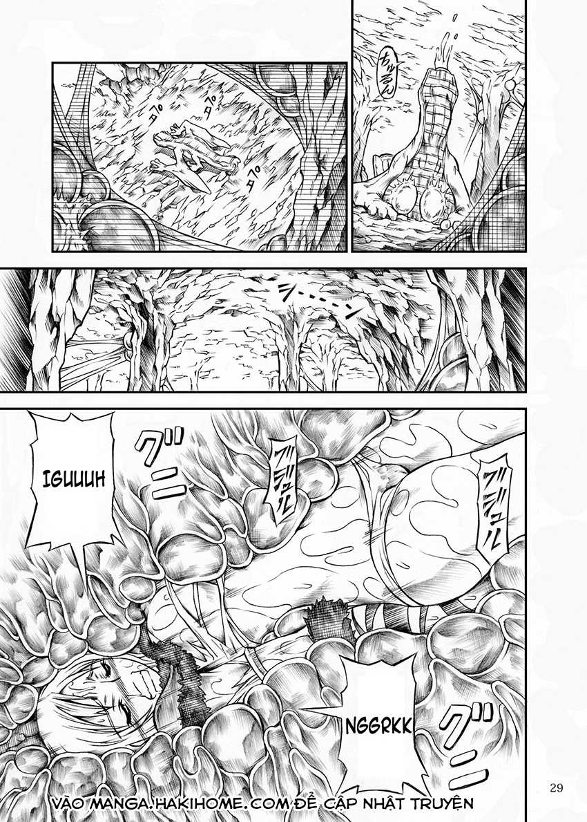 (C77) [Yokohama Junky (Makari Tohru)] Solo Hunter no Seitai (Monster Hunter) [Vietnamese Tiếng Việt] - Page 29