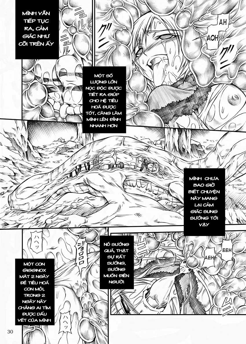 (C77) [Yokohama Junky (Makari Tohru)] Solo Hunter no Seitai (Monster Hunter) [Vietnamese Tiếng Việt] - Page 30