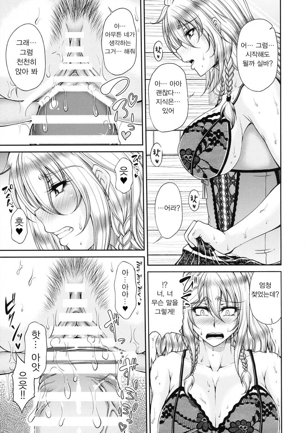 (C90) [Kakitsubata no Yashiro (Kakitsubata Kanae)] Aozora no Chouki-tachi 2 - One's Favorite Mistress of Grand Blue Sky (Granblue Fantasy) [Korean] - Page 12