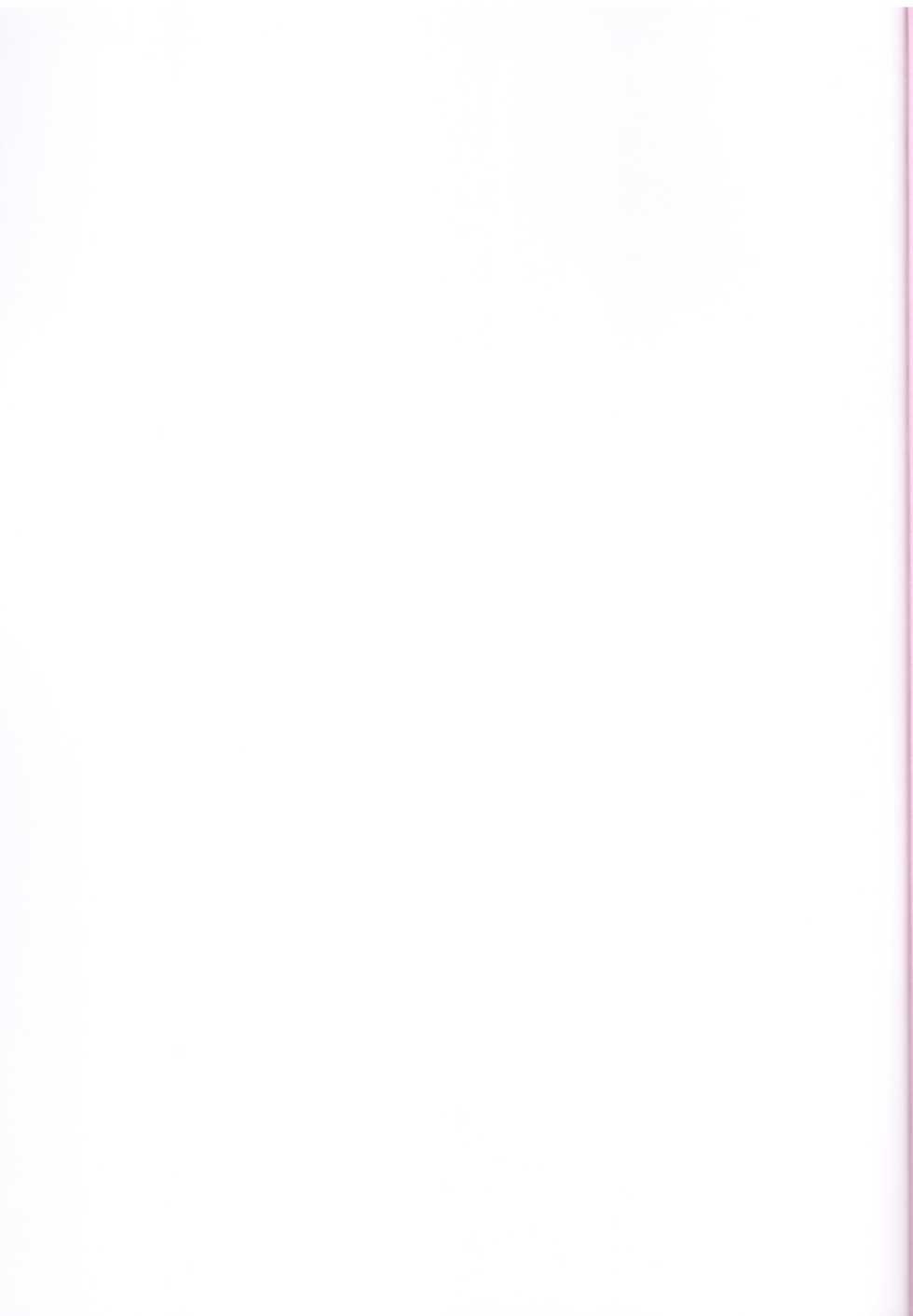 (COMIC1☆9) [Sekai Kakumei Club (Ozawa Reido)] Kira Mina Escalation (Go! Princess PreCure) - Page 35