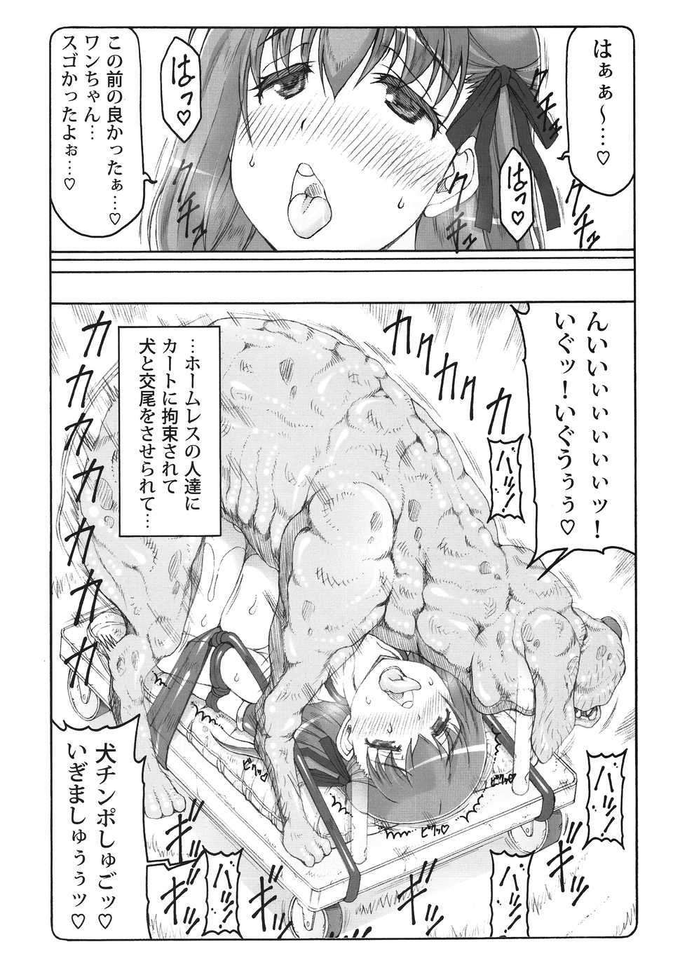 (C91) [Abarenbow Tengu (Izumi Yuujiro)] Kotori 14 (Fate/stay night) - Page 5