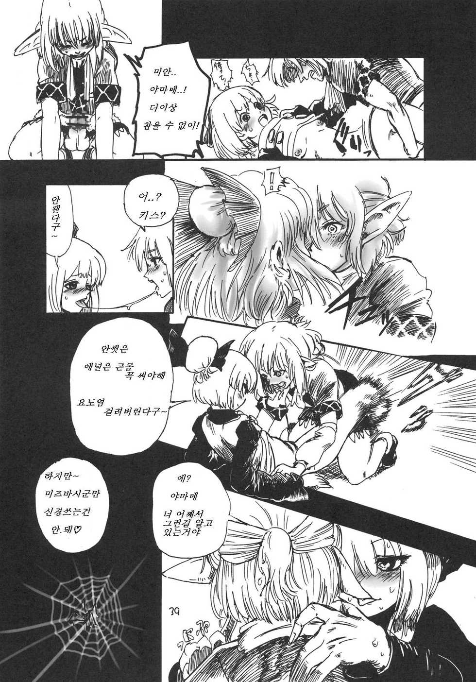 (SC49) [Denpa YunYun (Various)] CJDG (Touhou Project) [Korean] - Page 39