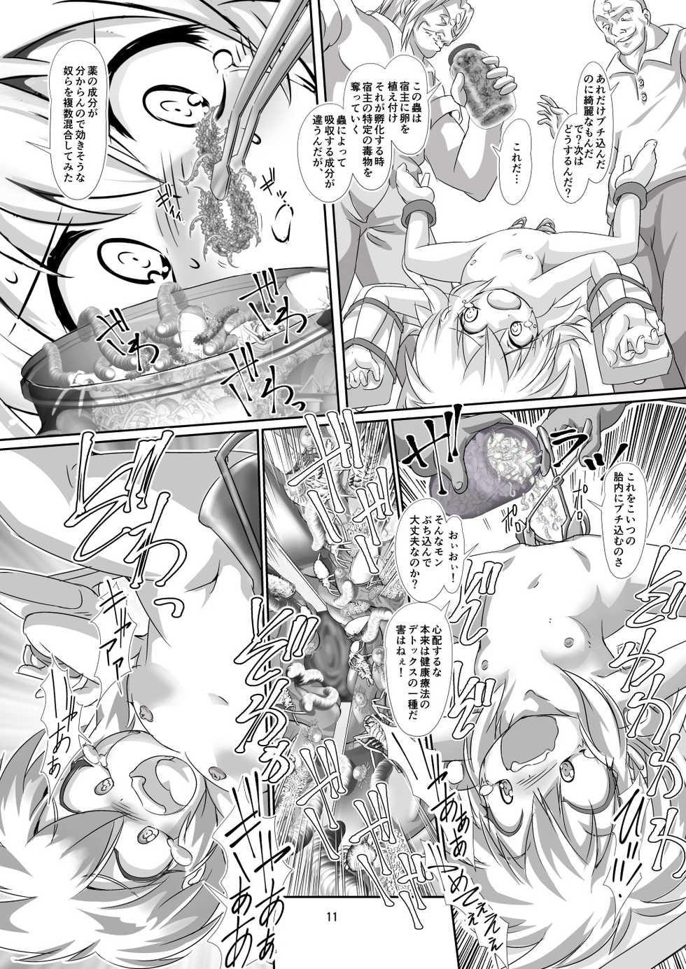 [Yakouyousei (Mizuki Yuu)] Alycetie IX.5 (9.5) [Digital] - Page 11