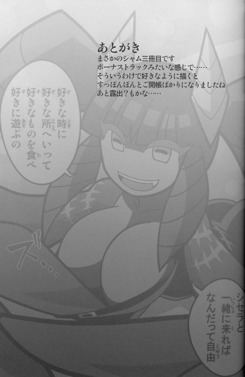 (C88) [Shimanto Seiryuu (Shimanto Youta)] Nekoneko Fight 3sarame (Kaiten Mutenmaru) - Page 25