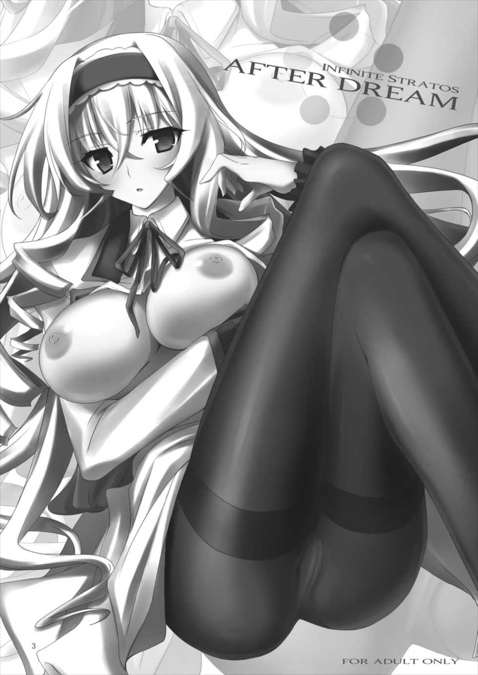 (C82) [RADICAL DASH (Miyane Aki)] AFTER DREAM (IS <Infinite Stratos>) - Page 3