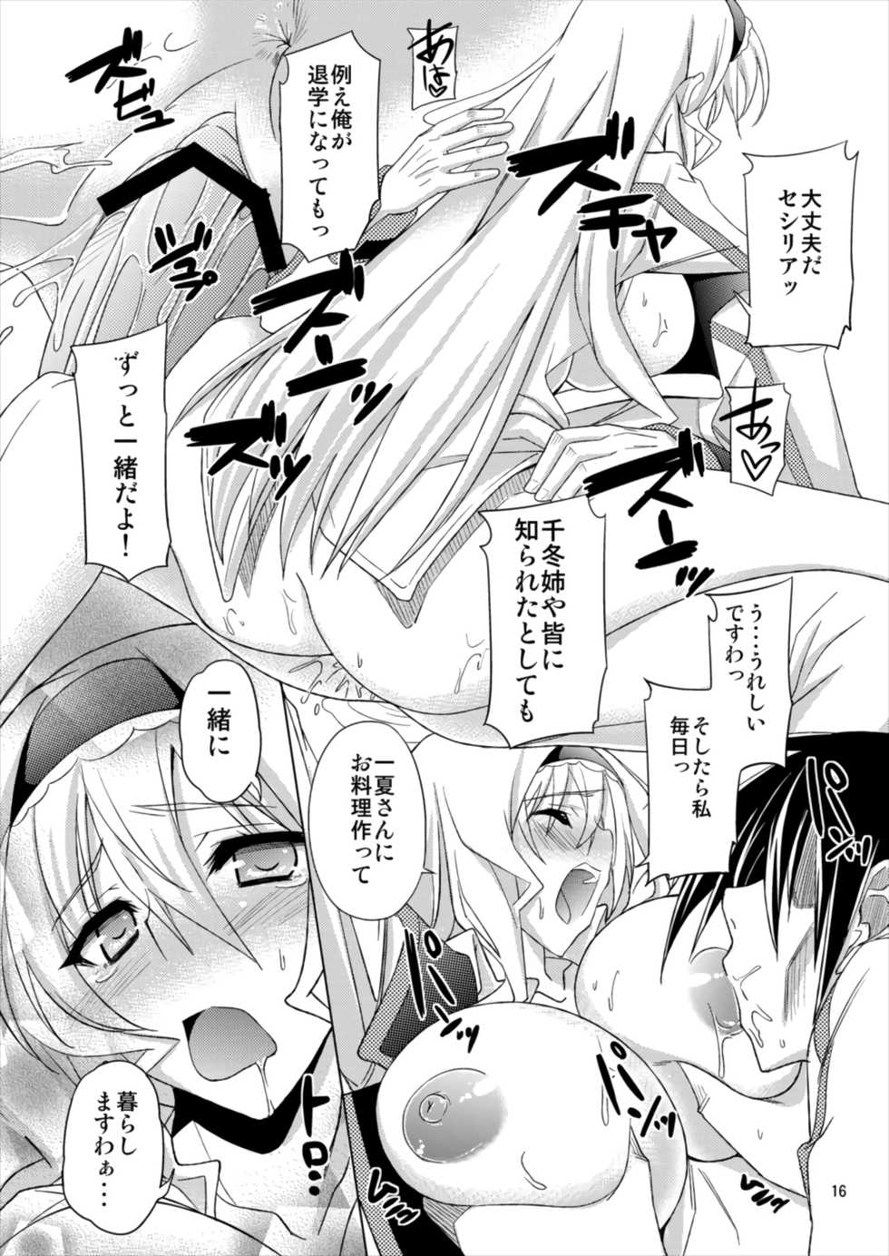 (C82) [RADICAL DASH (Miyane Aki)] AFTER DREAM (IS <Infinite Stratos>) - Page 16