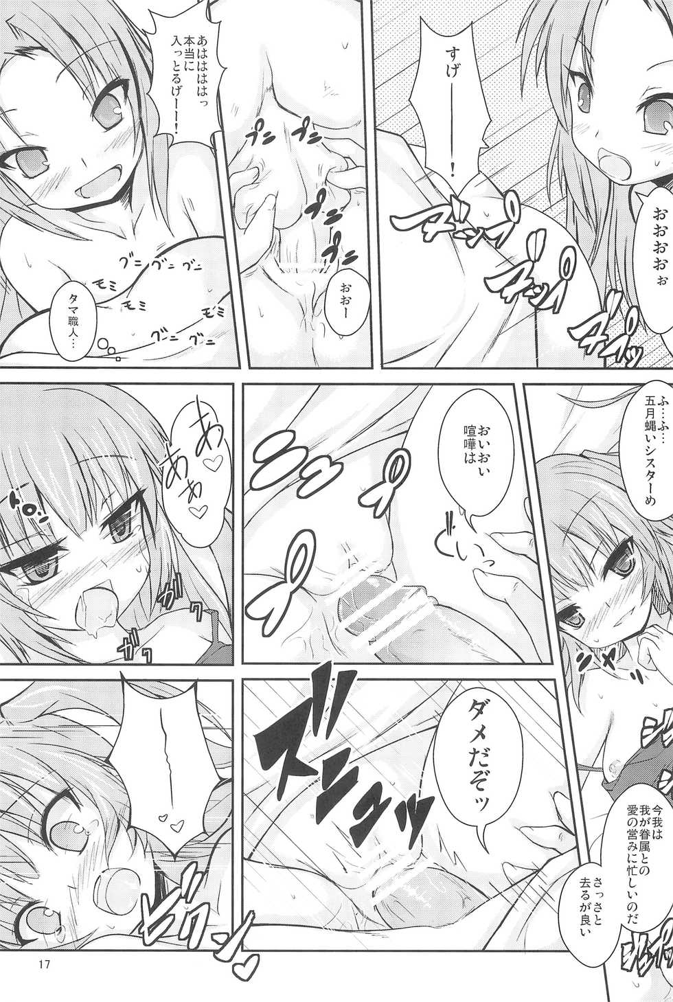 (C79) [Windtone (Safi)] Sister and Sister (Boku wa Tomodachi ga Sukunai) - Page 17